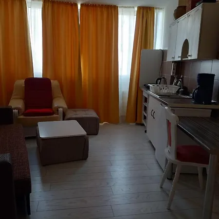 Apartment Two Bedroom Farmec Cluj-Napoca
